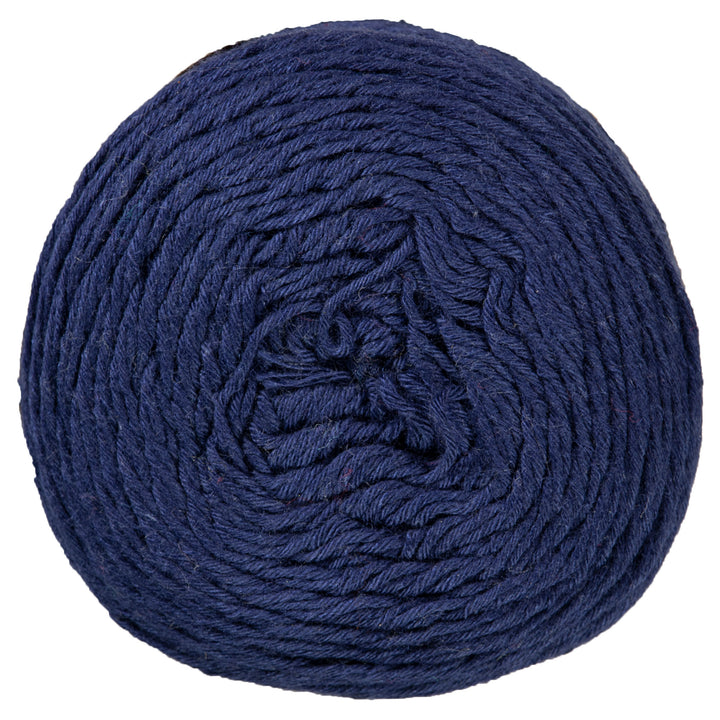 Scheepjes Whirlette Yarn - 868 Bilberry - Zoom Image