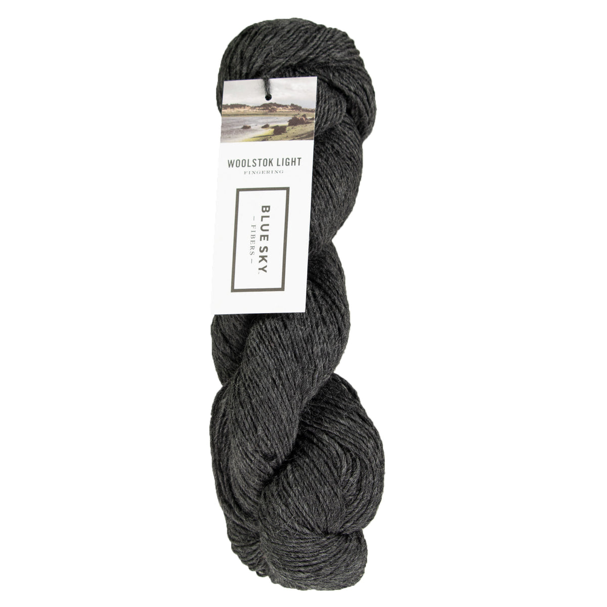 Blue Sky Fibers Woolstok Light Yarn - 2300 Cast Iron - Zoom Image