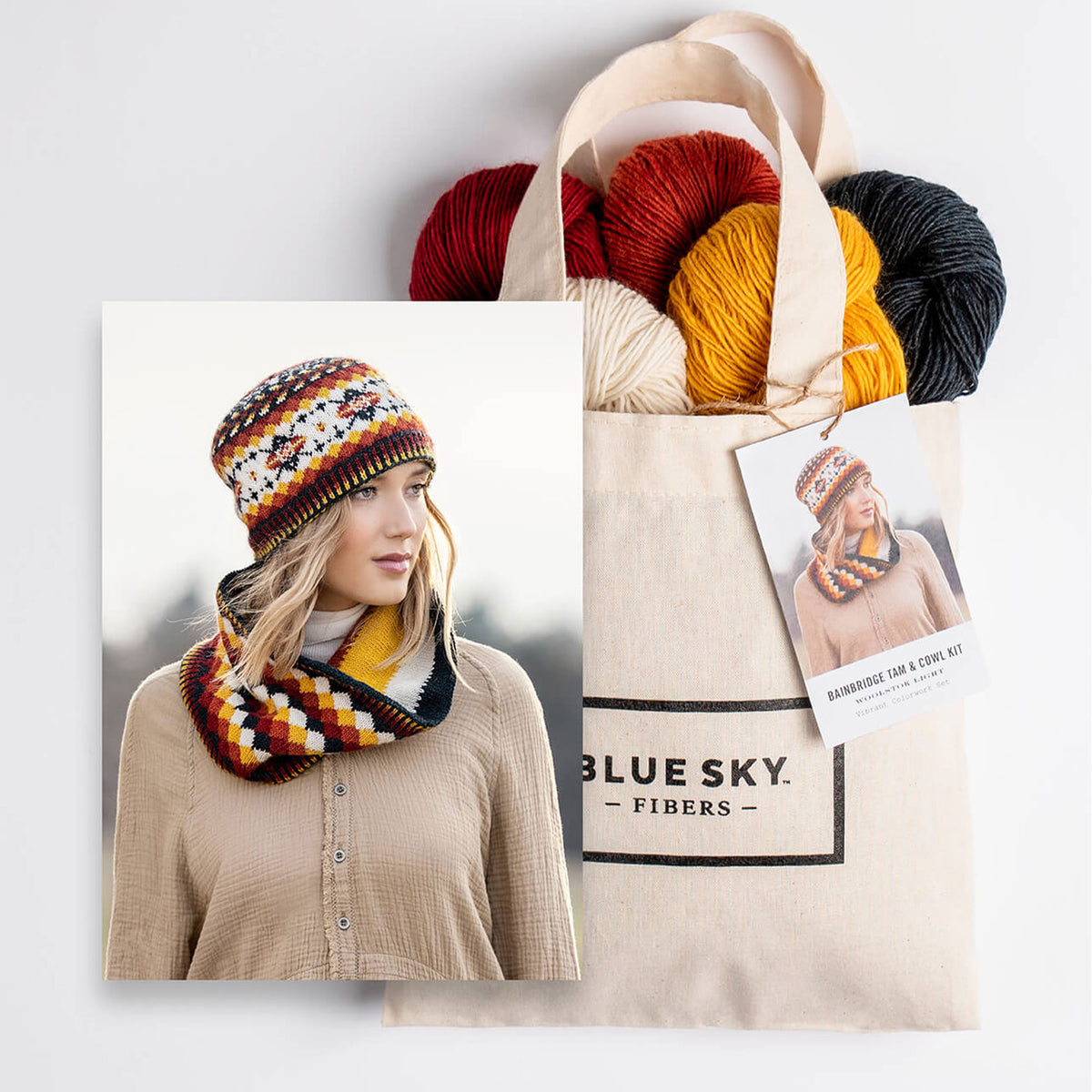 Blue Sky Fibers Kits - Bainbridge Hat and Cowl - Zoom Image