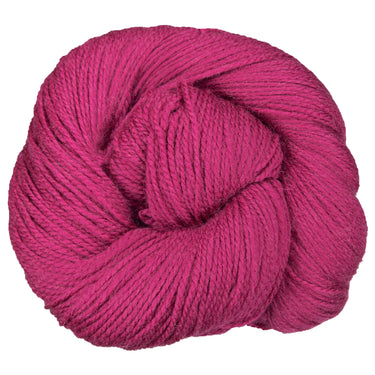 Cascade Yarns 220 Superwash Fingering Yarn - 22 Raspberry - Zoom Image