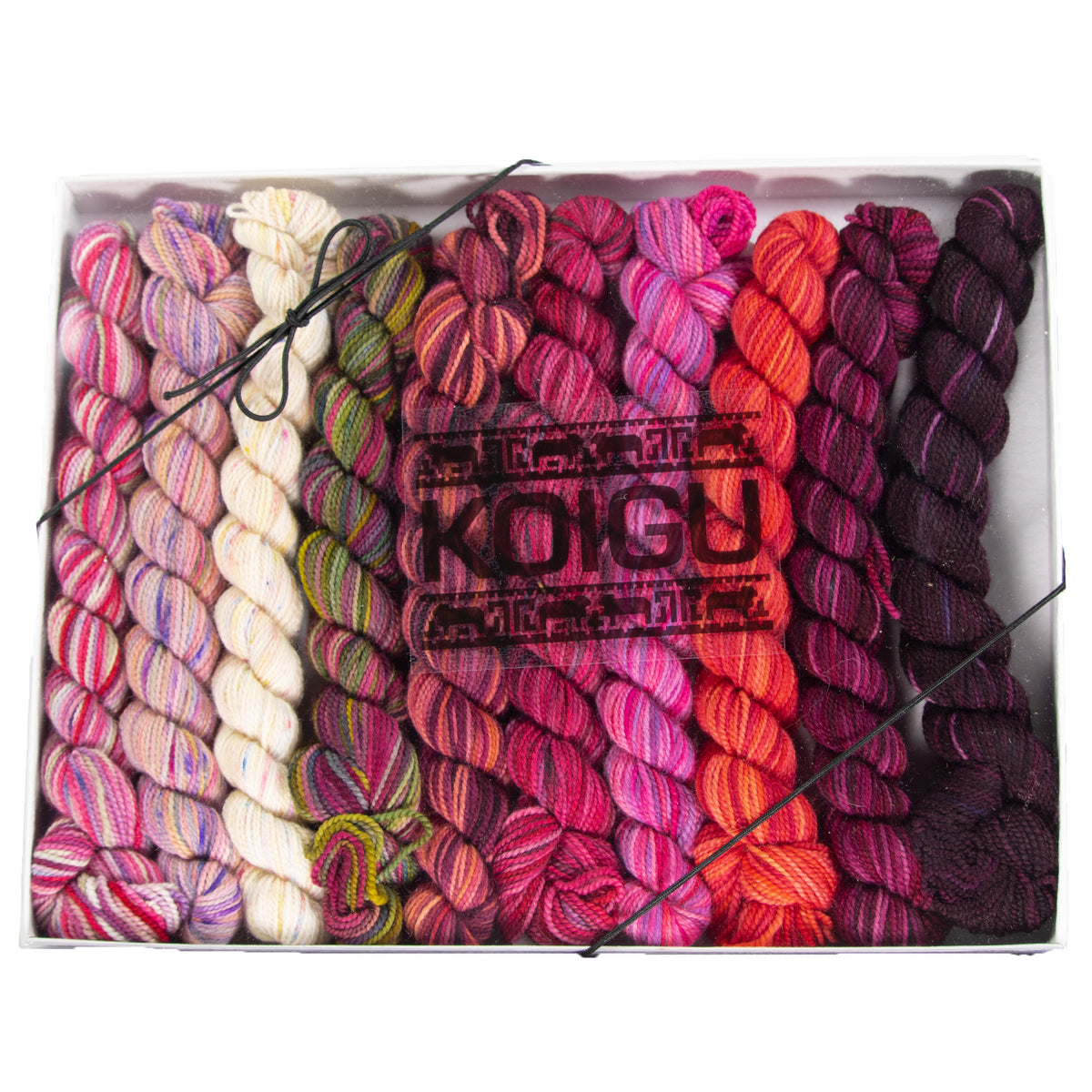 Koigu Pencil Box Yarn - Grevillea - Zoom Image