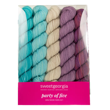 SweetGeorgia Tough Love Sock Party of Five Mini-Skein Set Yarn - Frozen Blueberry - Zoom Image
