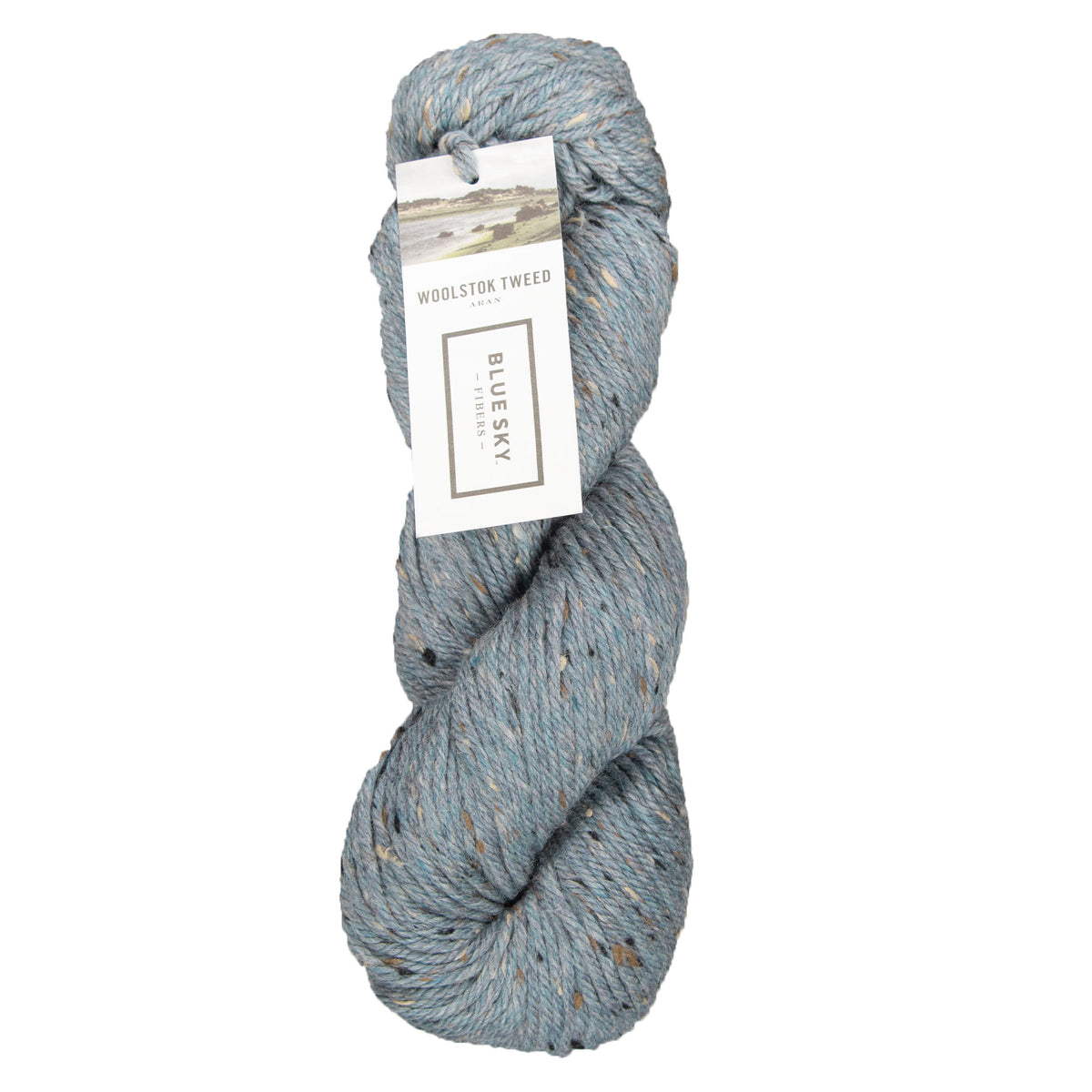 Blue Sky Fibers Woolstok Tweed (Aran) Yarn - 3304 Prairie Sky - Zoom Image
