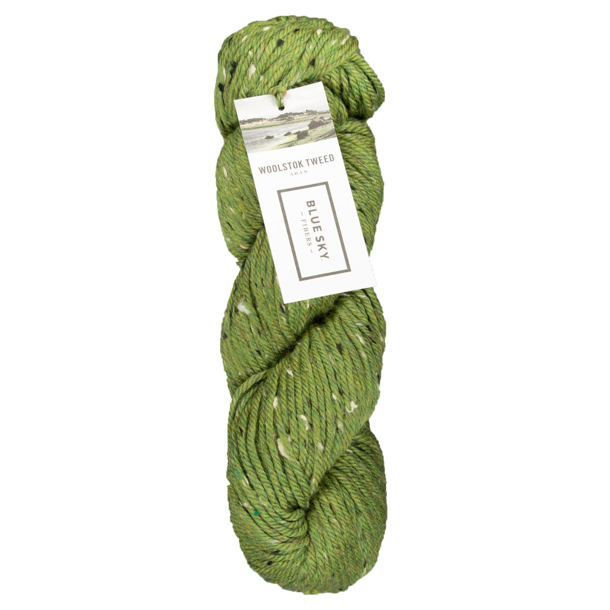 Blue Sky Fibers Woolstok Tweed (Aran) Yarn - 3307 Fern Frond - Zoom Image
