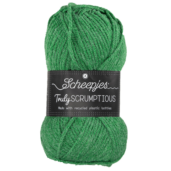 Scheepjes Truly Scrumptious Yarn - 319 Matcha Chocolate Brownie - Zoom Image