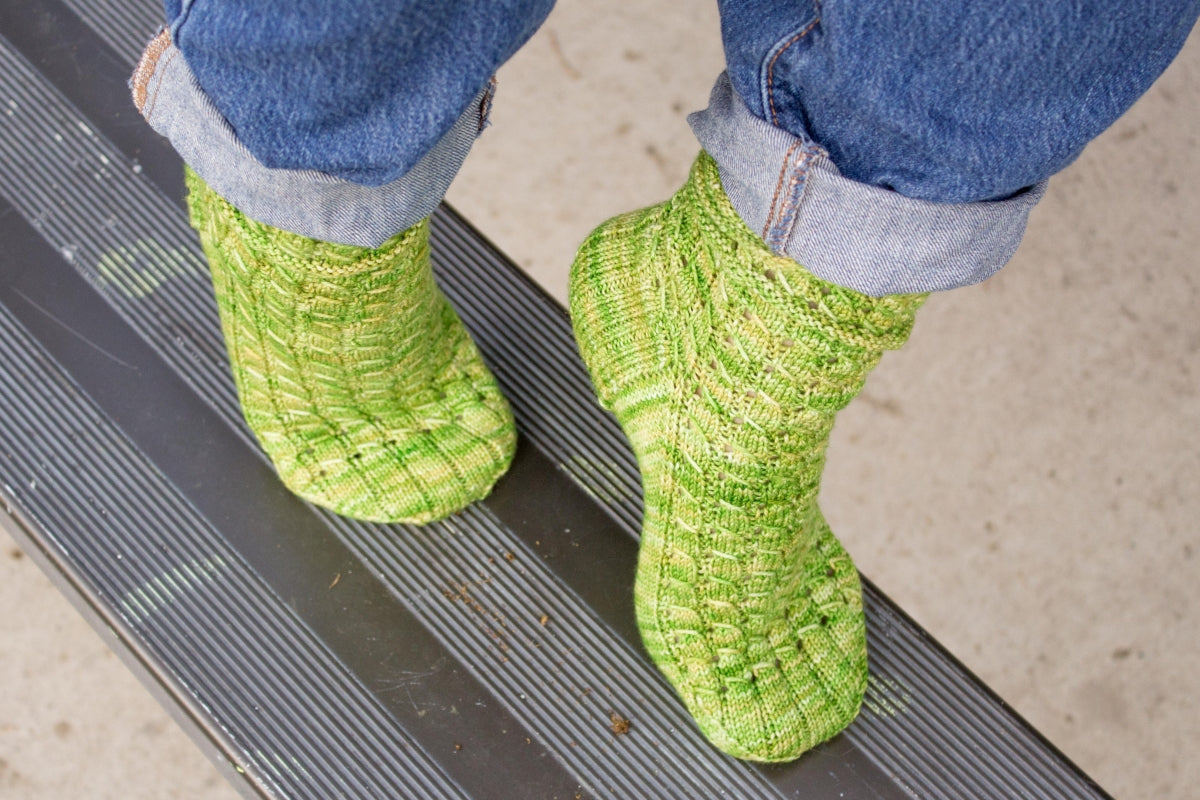 Leslie's Rubus suberectus Socks - Main Image 5
