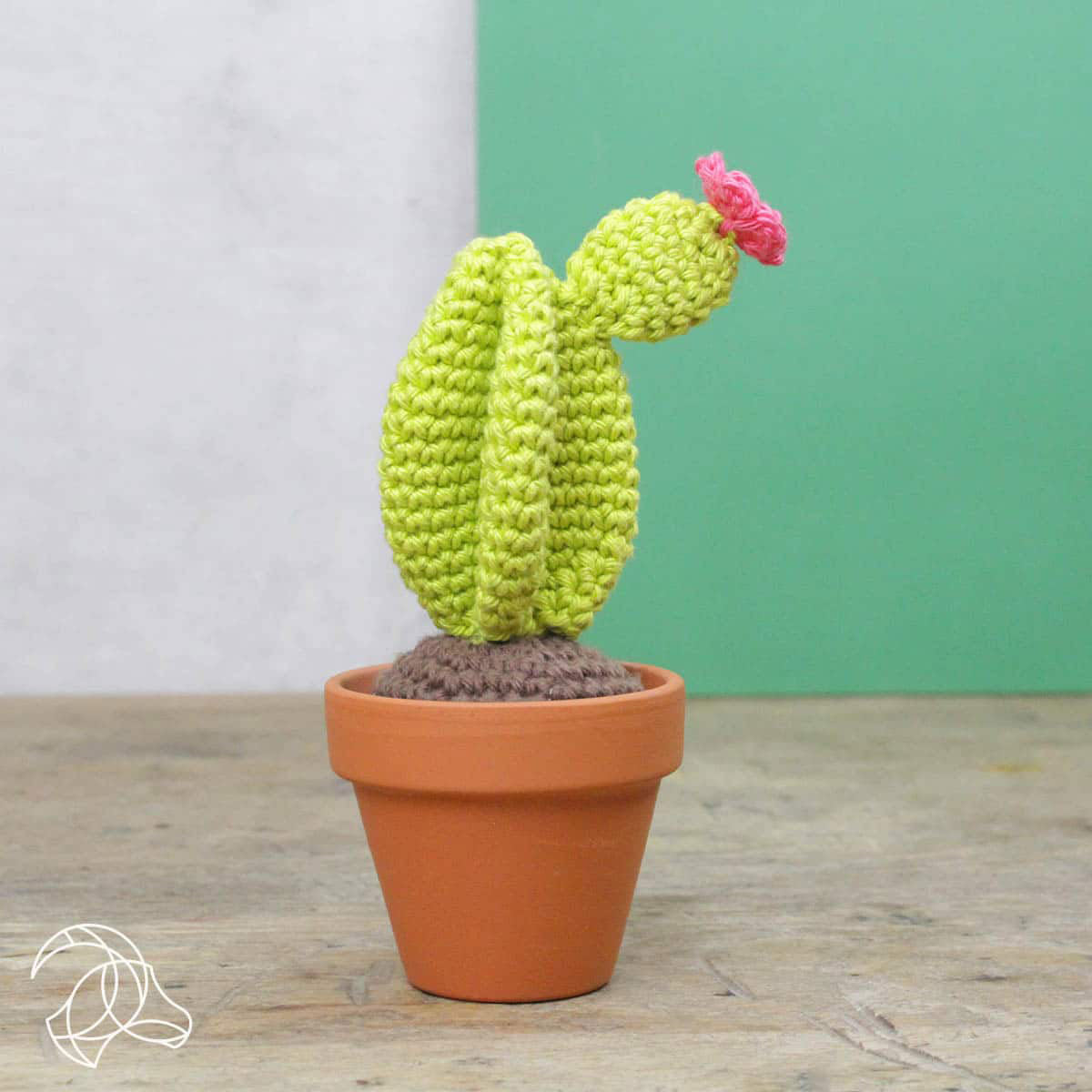 Hardicraft Plush Toys - Cacti (Crochet) - Extra Image