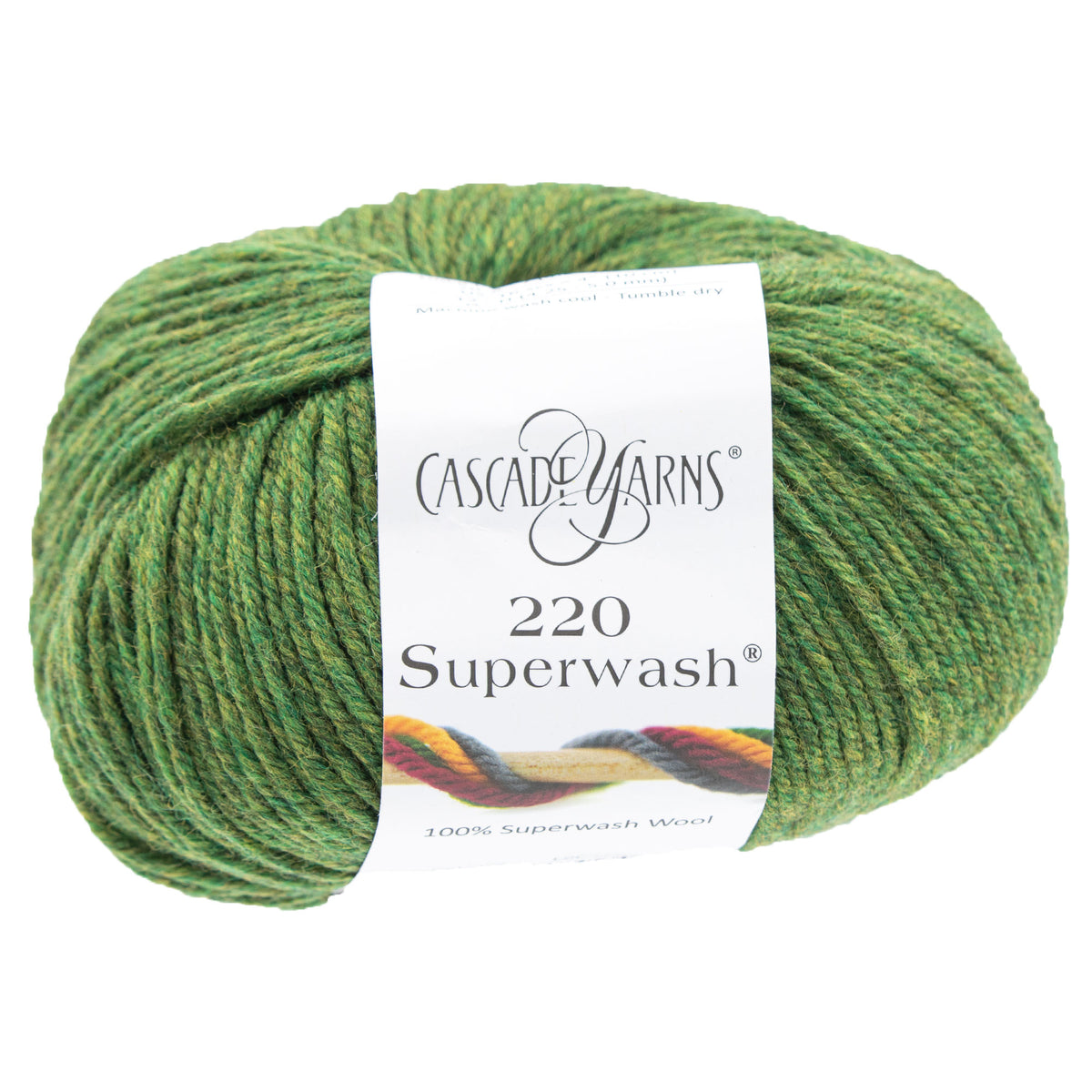 Cascade Yarns 220 Superwash Yarn - 0376 Irelande - Zoom Image