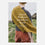 Laine Magazine Gudrun Johnston and Mary Jane Mucklestone Books - Grand Shetland Adventure Knits - Zoom Image