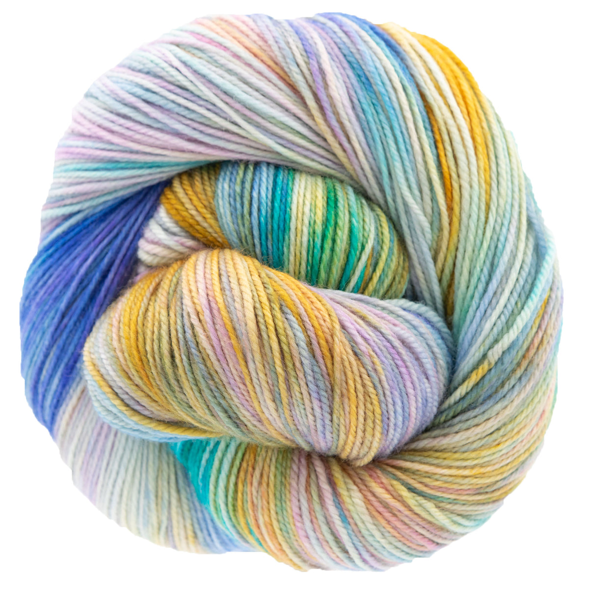 Dream in Color Smooshy Yarn - Water Dragon - Zoom Image
