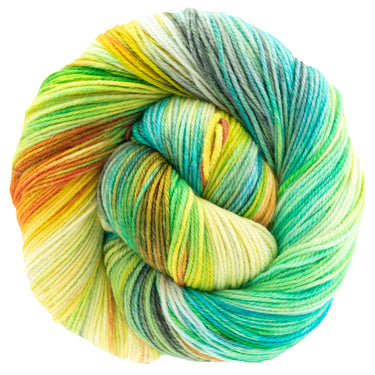 Dream in Color Smooshy Yarn - Farmer's Market - Zoom Image
