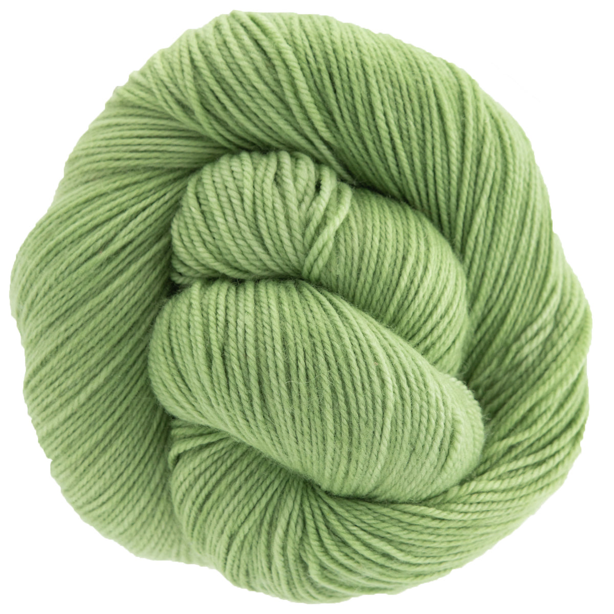 Dream in Color Smooshy Yarn - Sprout - Zoom Image
