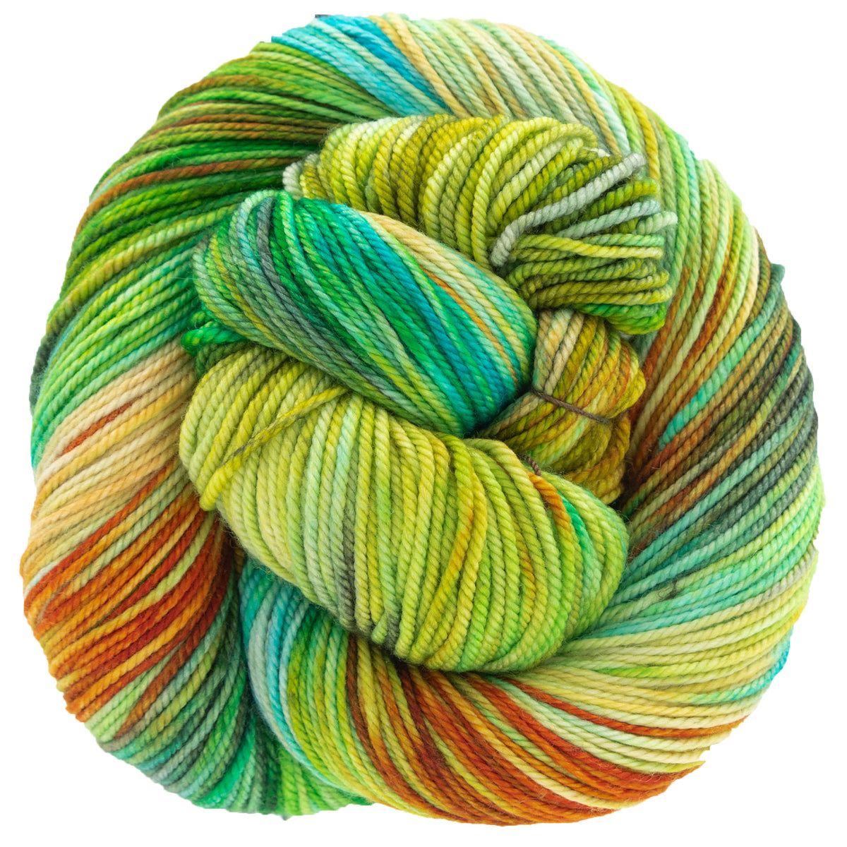 Dream in Color Cosette Yarn - Farmer's Market - Zoom Image
