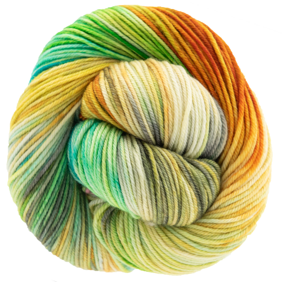 Dream in Color Classy Yarn - Farmers Market - Zoom Image
