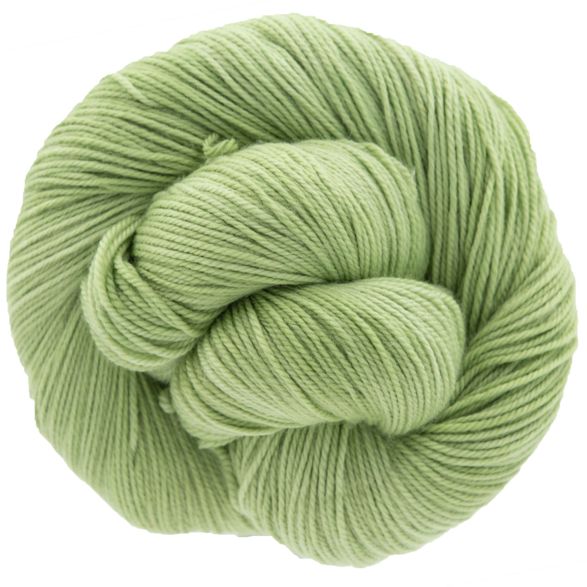 Dream in Color Smooshy Yak Yarn - Sprout - Zoom Image
