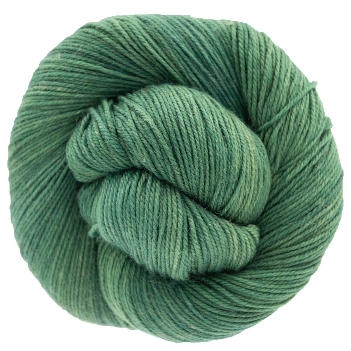 Dream in Color Smooshy Yak Yarn - Power Plant - Zoom Image
