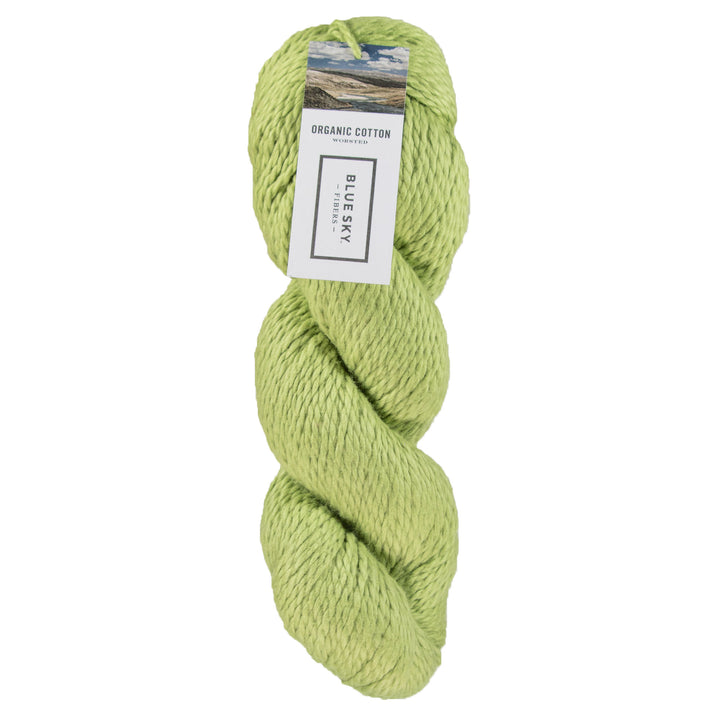 Blue Sky Fibers Organic Cotton Yarn - 639 - Wasabi - Zoom Image