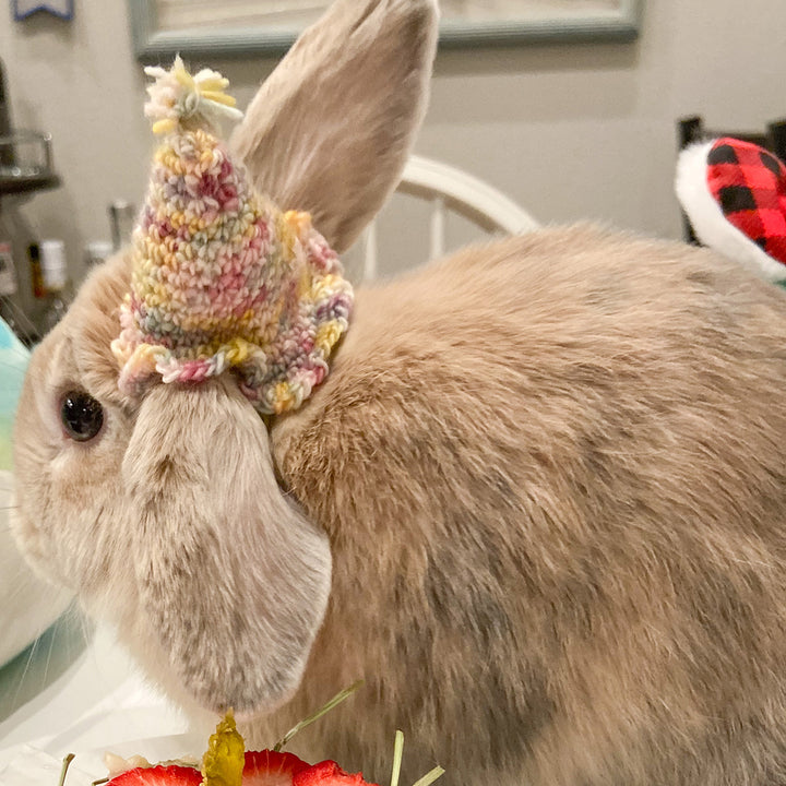 Amelia & Elizabeth's Paw-ty Hats - Main Image 4
