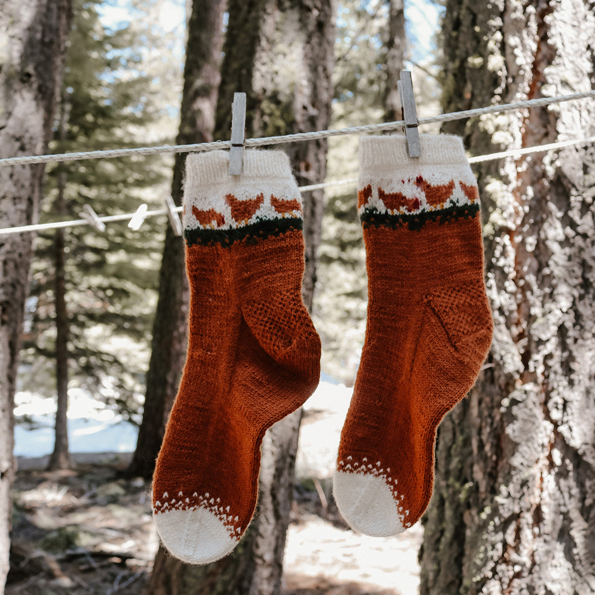 Arlene's Unity Fingering Chicken Socks - Main Image 5