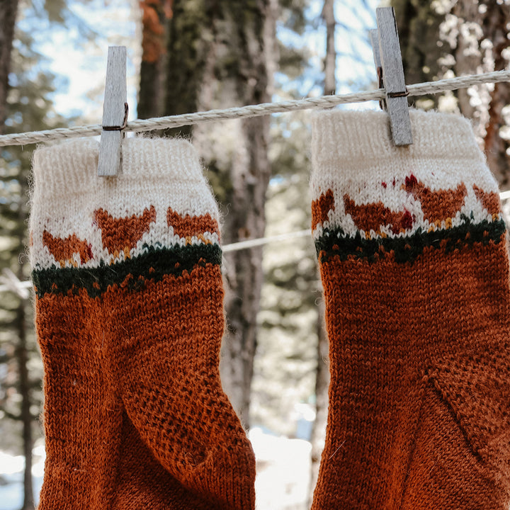 Arlene's Unity Fingering Chicken Socks - Main Image 1