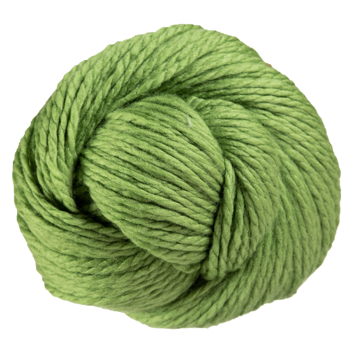 Cascade Yarns 128 Superwash Yarn - 841 Moss - Zoom Image
