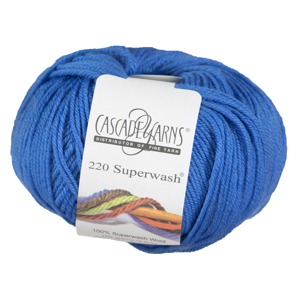 Cascade Yarns 220 Superwash Yarn - 0883 Puget Sound - Zoom Image
