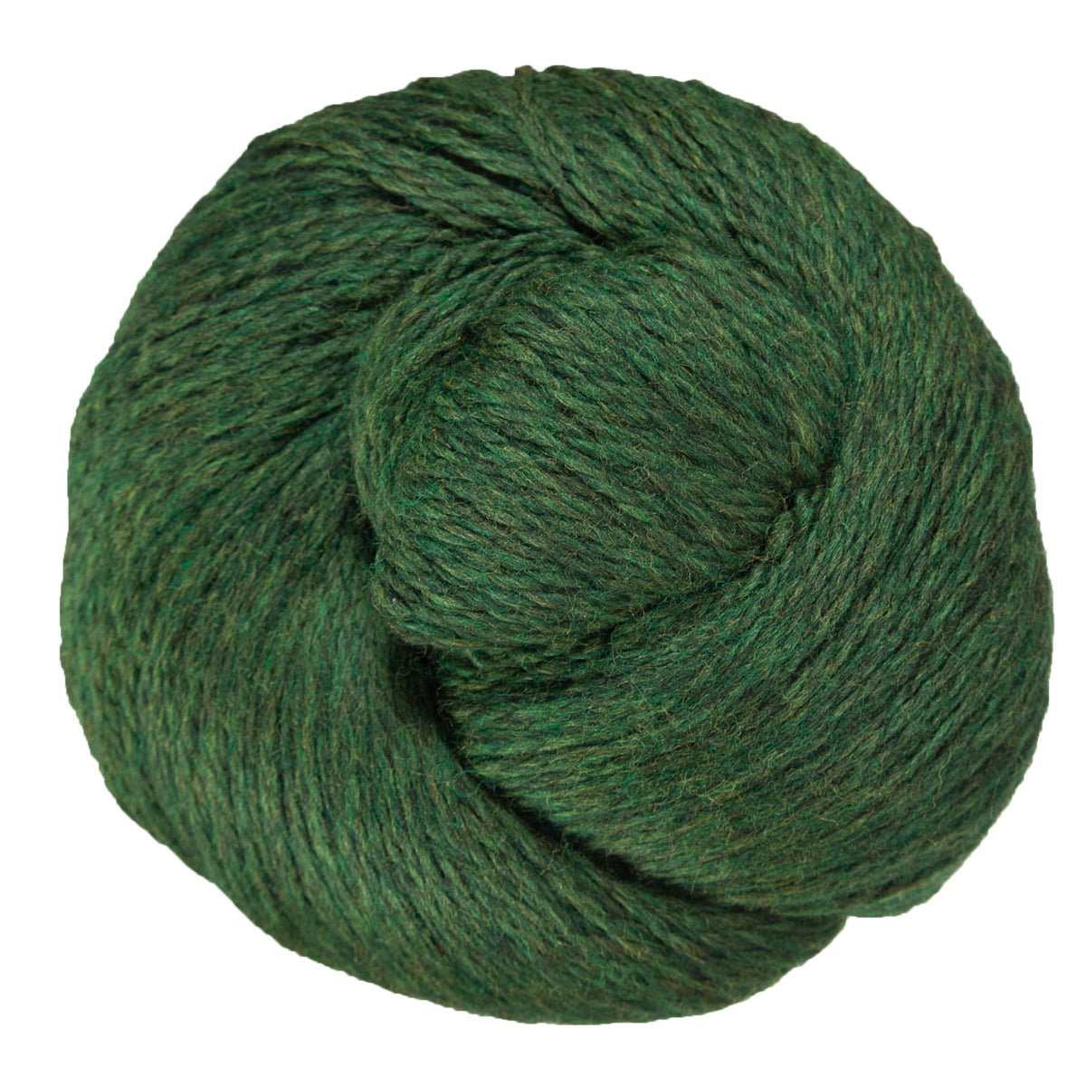 Cascade Yarns Eco+ Yarn - 2445 Shire - Zoom Image
