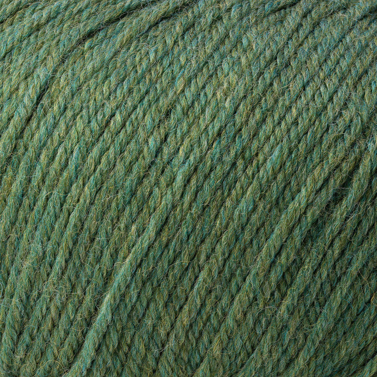Cascade Yarns 220 Superwash Yarn - 419 Meadow Heather
