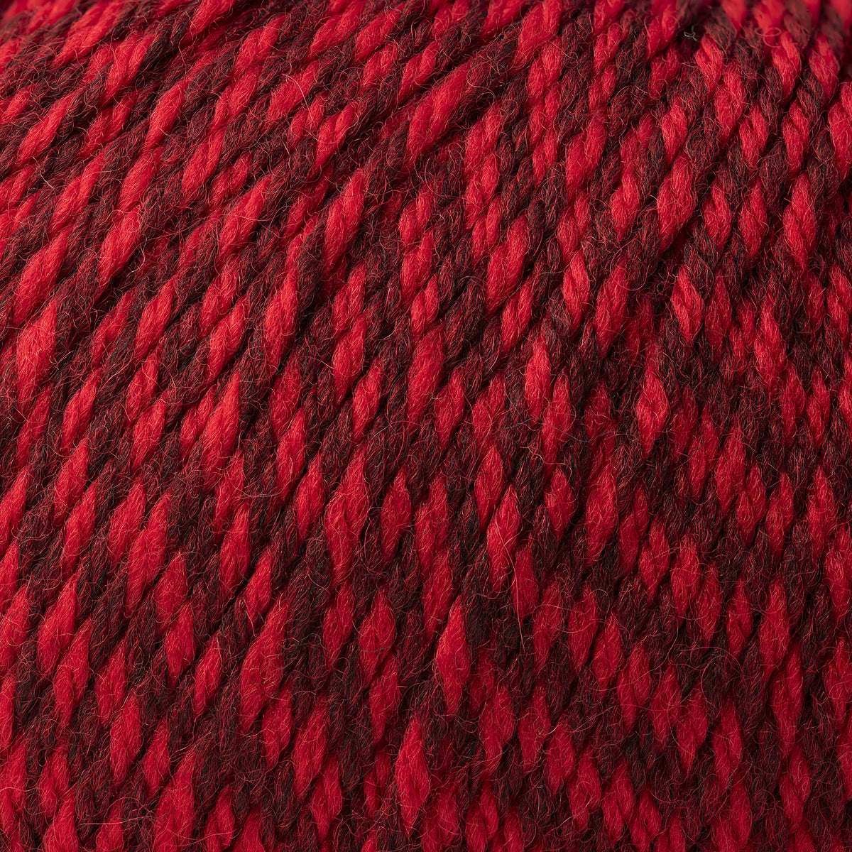 Cascade Yarns 220 Superwash Yarn - 421 Red Marl

