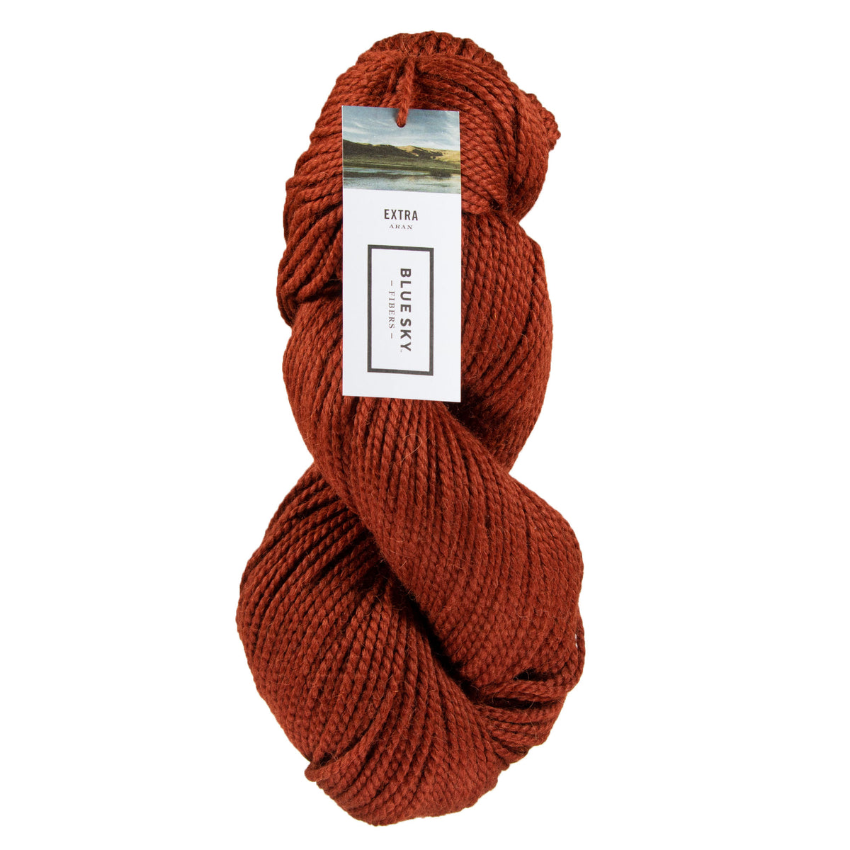 Blue Sky Fibers Extra Yarn - 3524 Canyon - Zoom Image
