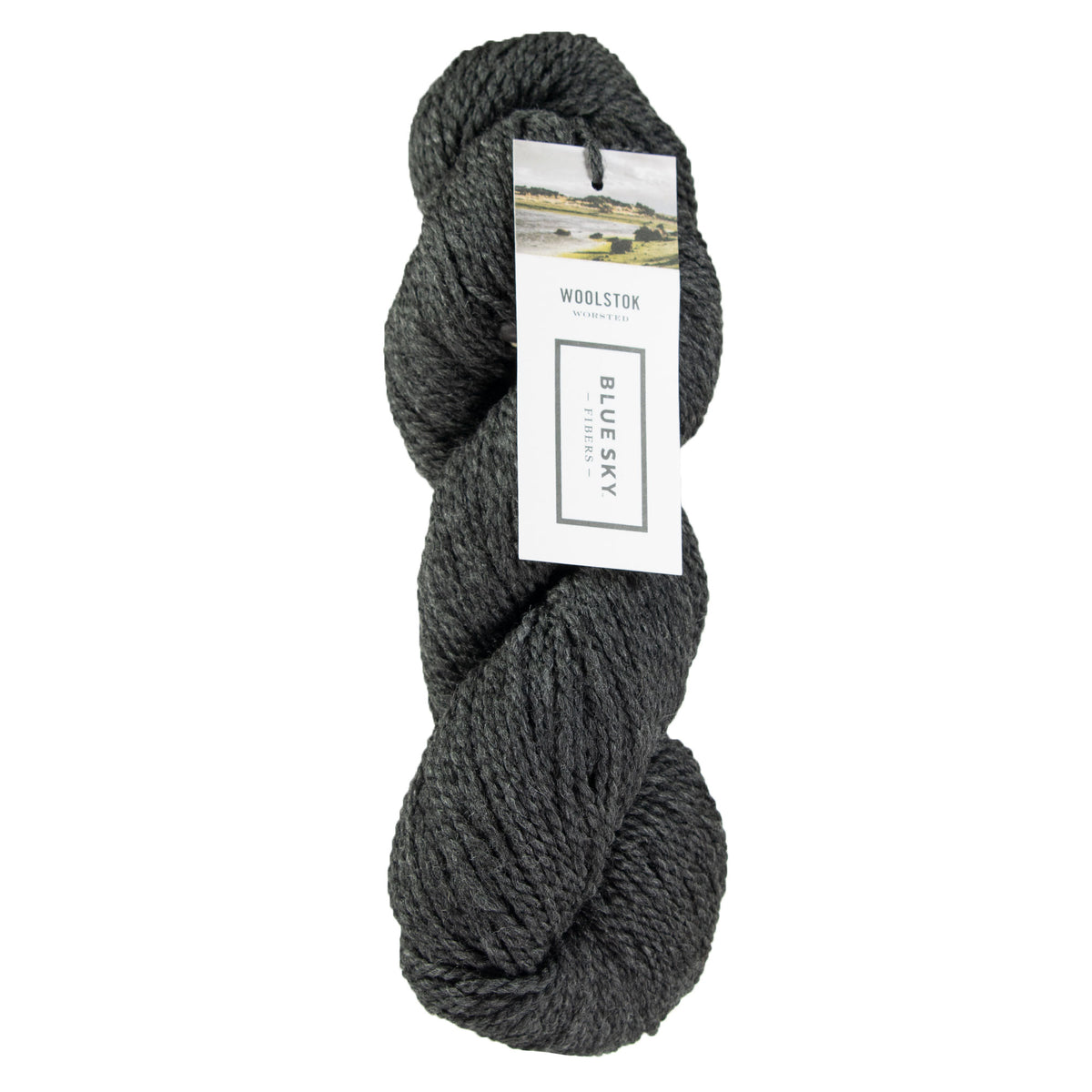 Blue Sky Fibers Woolstok Yarn - 1300 Cast Iron - Zoom Image
