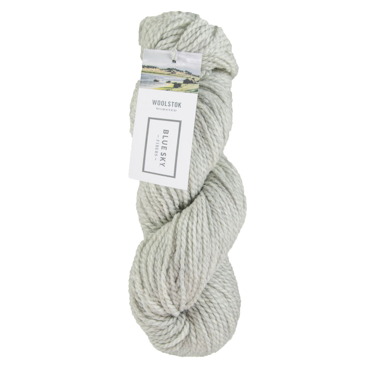 Blue Sky Fibers Woolstok Yarn - 1304 Grey Harbor - Zoom Image