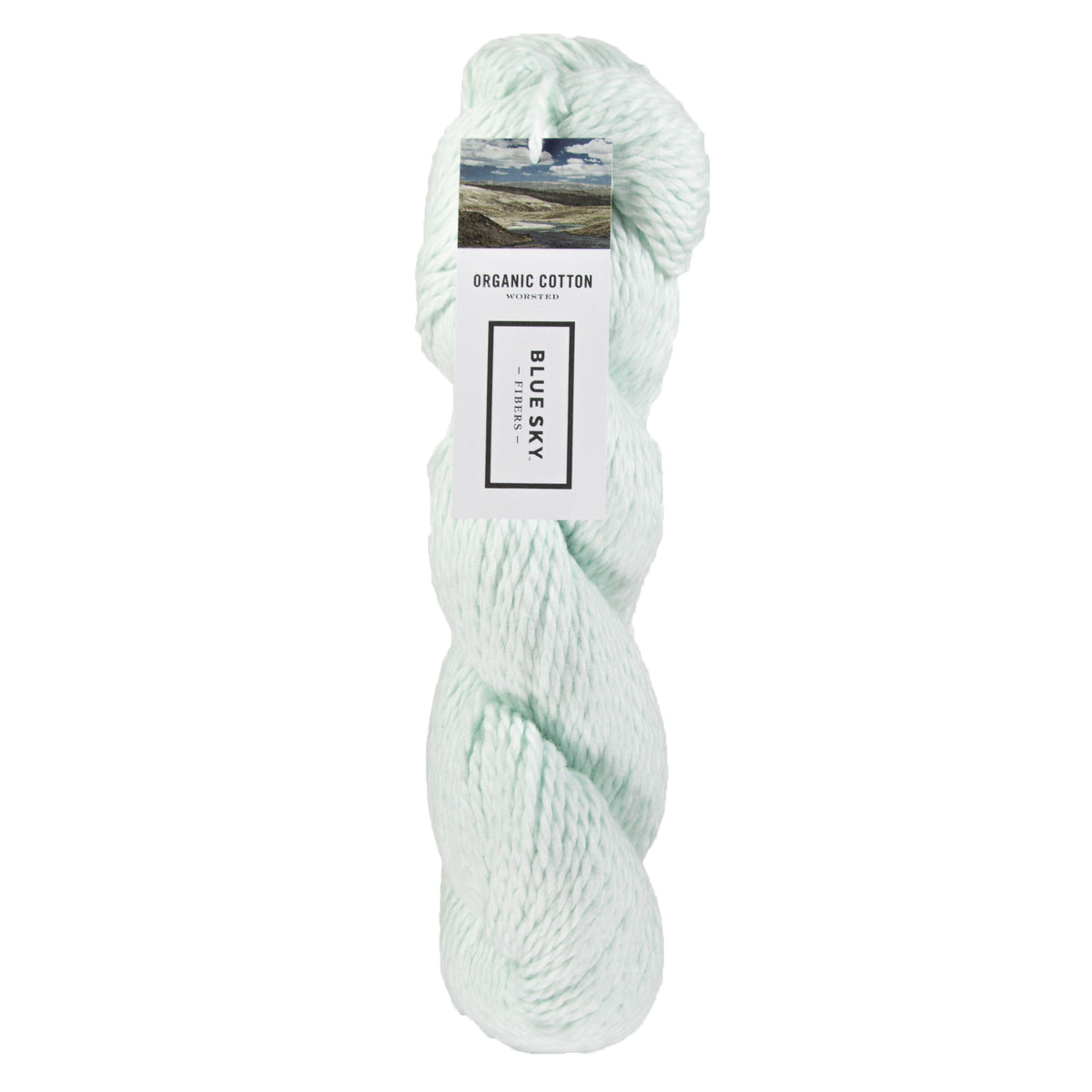 Blue Sky Fibers Organic Cotton Yarn - 646 - Buttermint - Zoom Image

