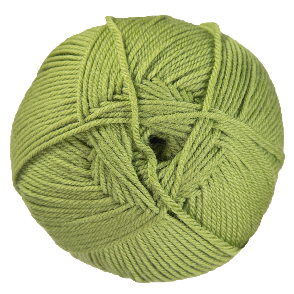 Cascade Yarns 220 Superwash Merino Yarn - 058 Iguana - Zoom Image
