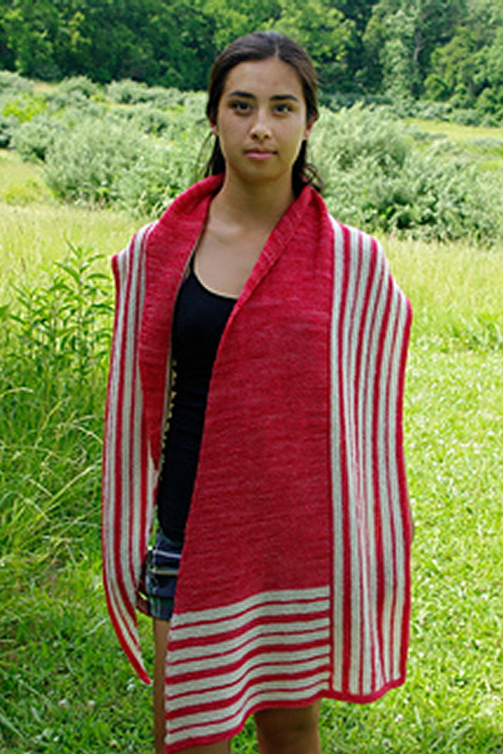 Nancy Whitman Patterns - A New Slant - PDF Download - Extra Image