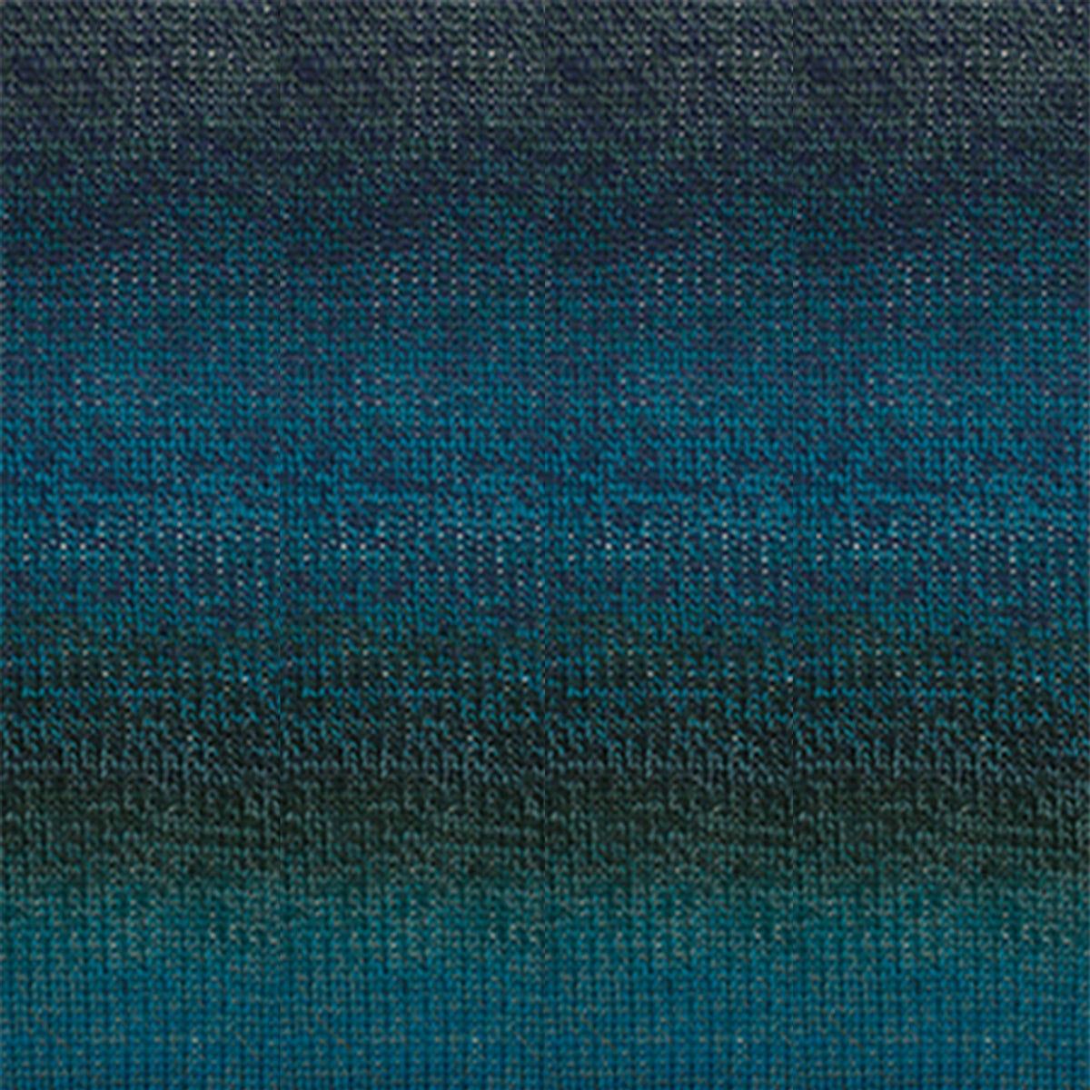 Cascade Yarns 220 Superwash Wave Yarn - 116 Deep Sea - Zoom Image