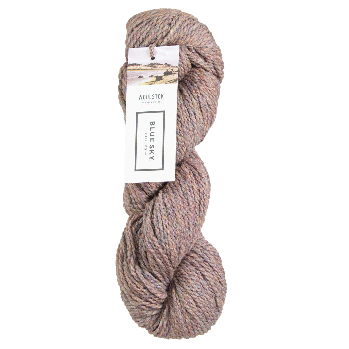 Blue Sky Fibers Woolstok Yarn - 1322 Northern Lights - Zoom Image
