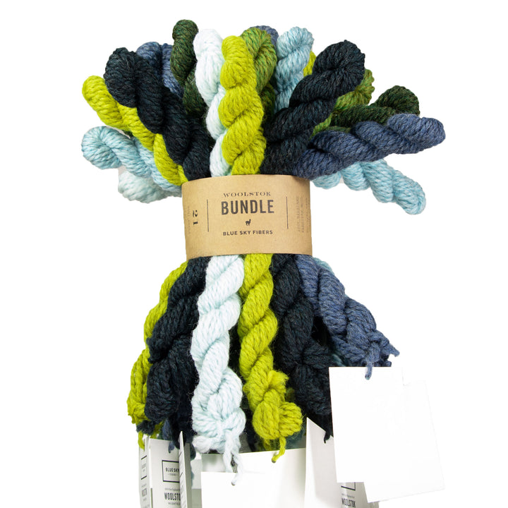 Blue Sky Fibers Woolstok Bundles Yarn - Cool - Zoom Image