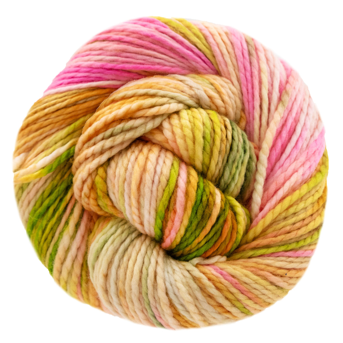 Dream in Color Bumblebee Yarn - Guava Nice Day
