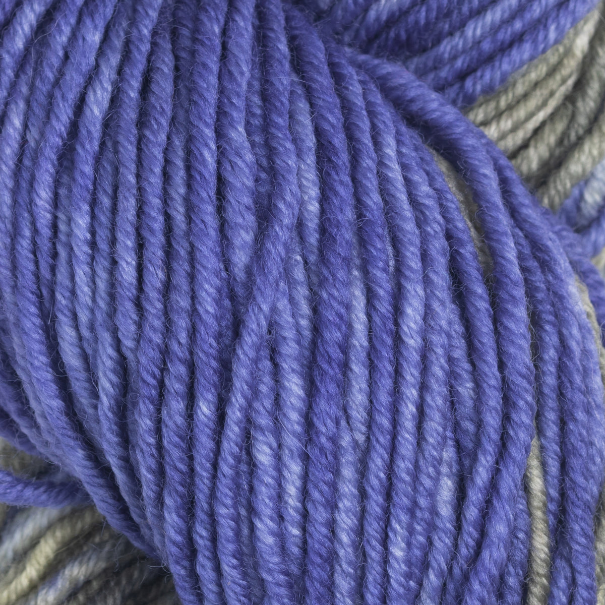 Gusto Wool Echoes Aran Yarn - 5507
