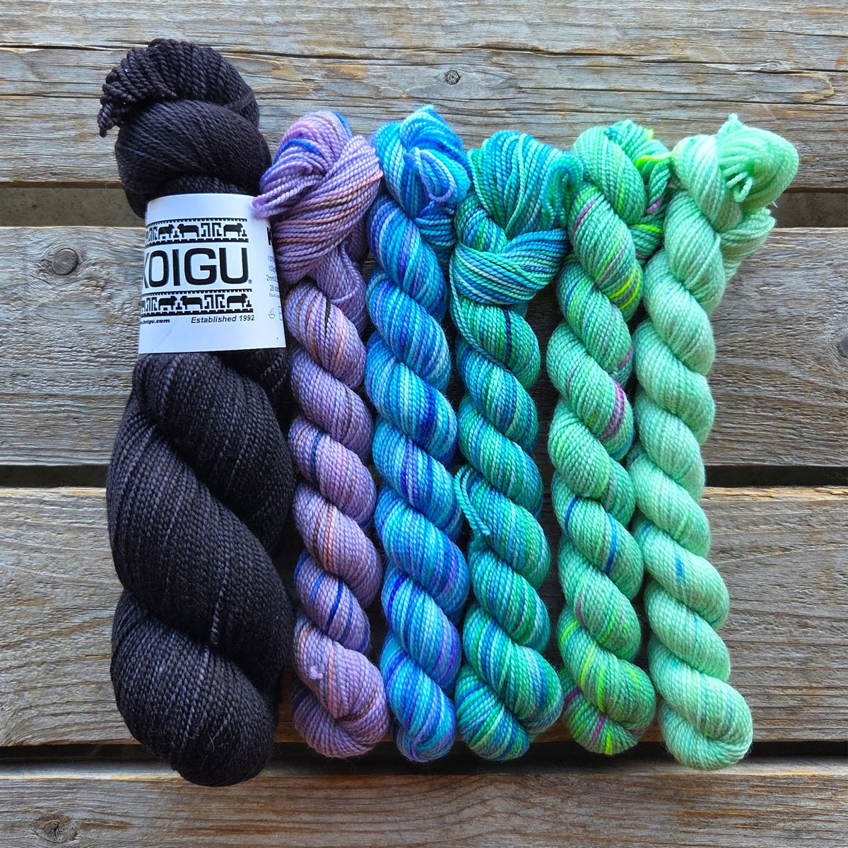 Koigu Aurora Hunter Shawl Yarn Pack - Small - North Star
