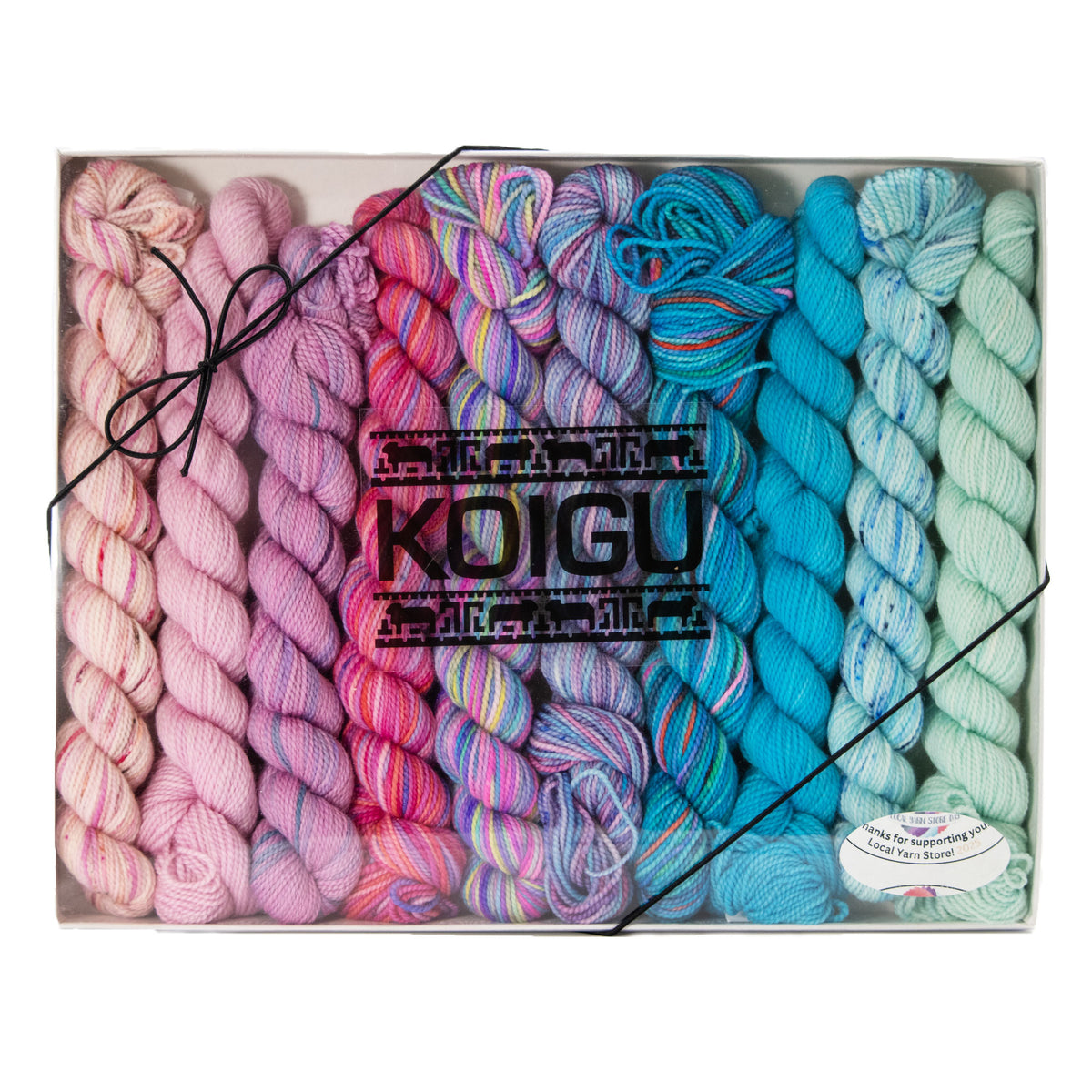 Koigu Pencil Box Yarn - Venation Shawl - Daiquiri
