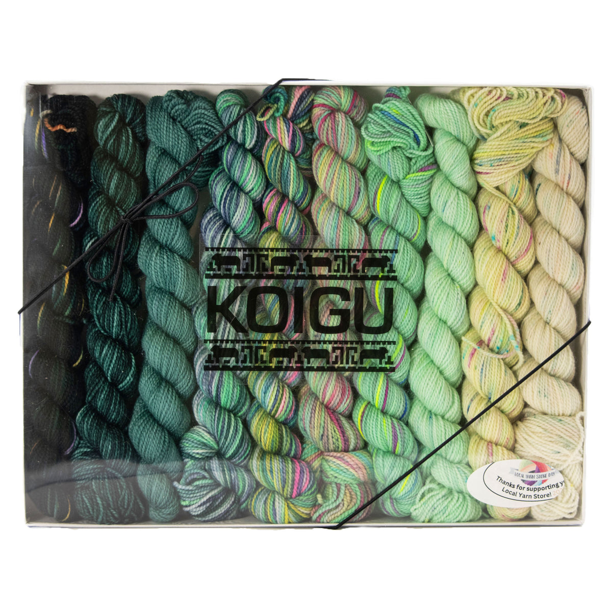 Koigu Pencil Box Yarn - Venation Shawl - Mojito
