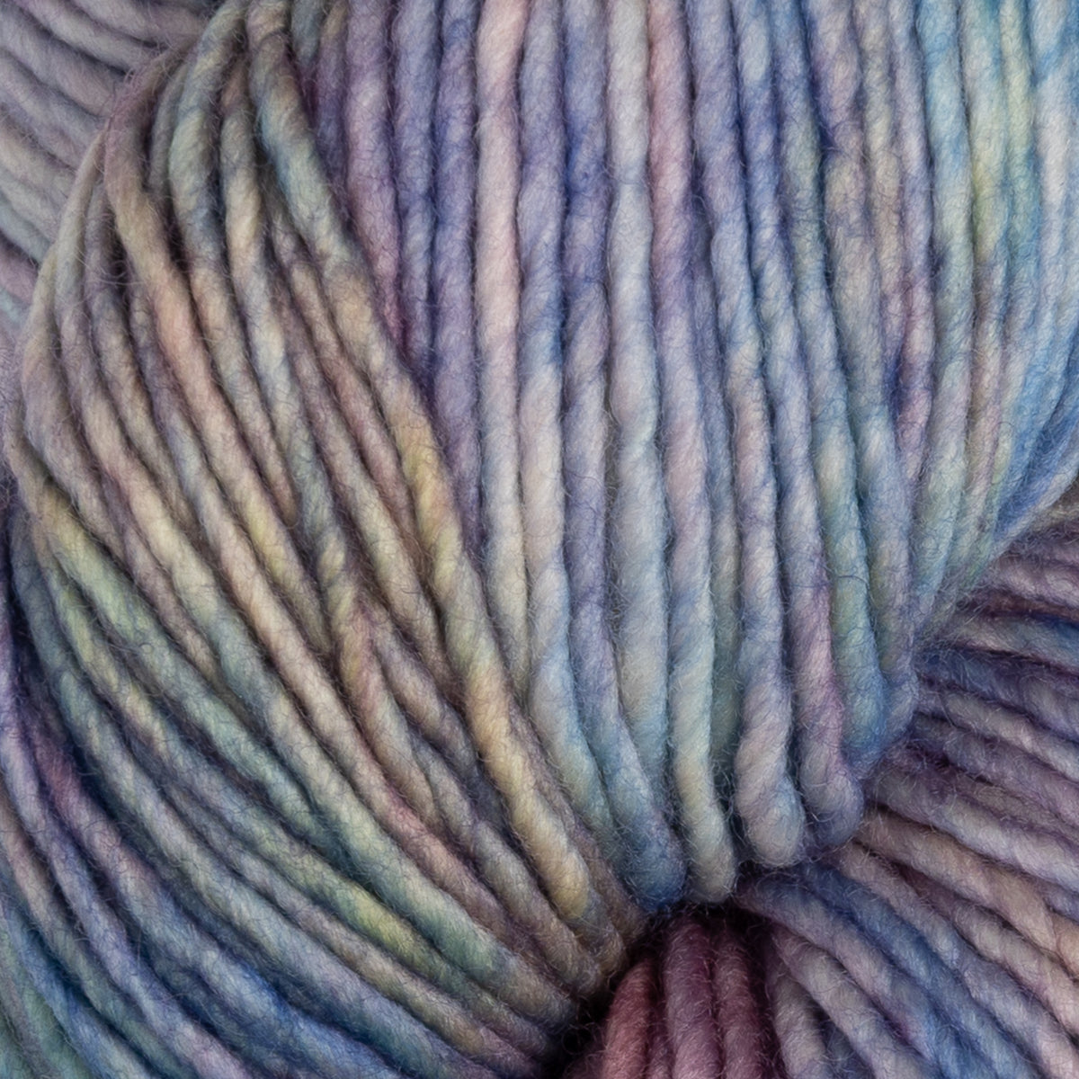 Malabrigo Worsted Merino Yarn - 875 Arapey
