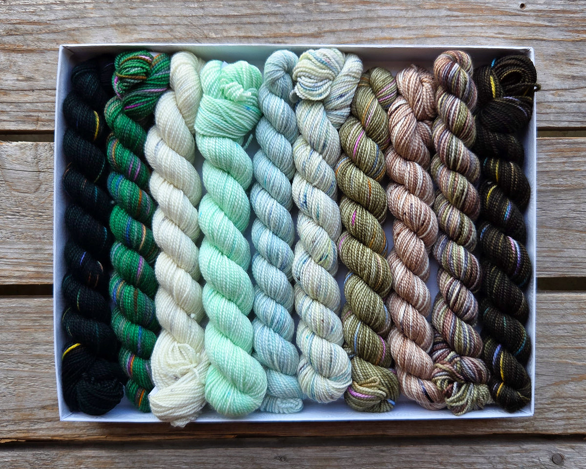 Koigu Pencil Box Yarn - Snowy Pines
